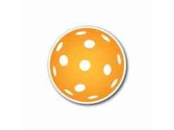 Racquet Inc PickleBall Car Magnet Orange