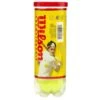 Wilson Championship Balls Extra Duty Tennis Balls Single Can